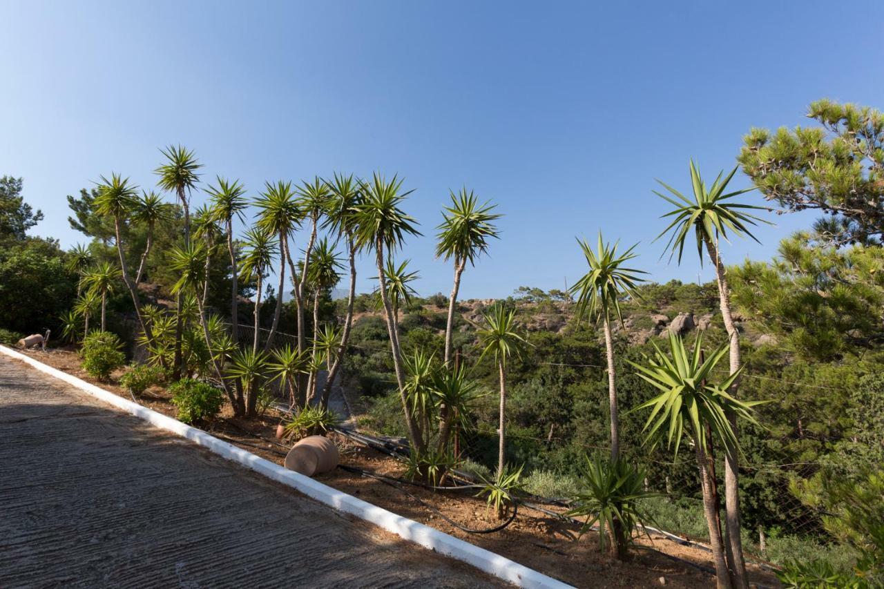 Hill Appartement Ferma